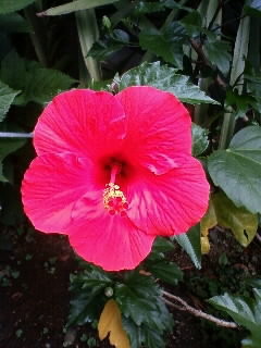 f:id:michamama:20100614102508j:image f:id:michamama:20100614102508j:image
