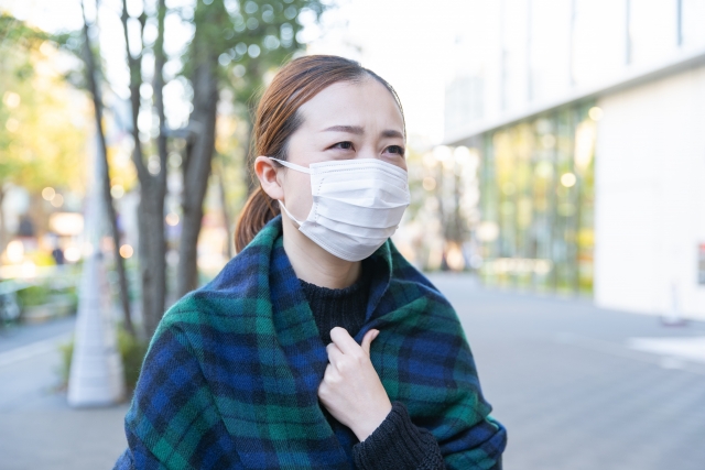 f:id:michan-blog:20200207161649j:plain
