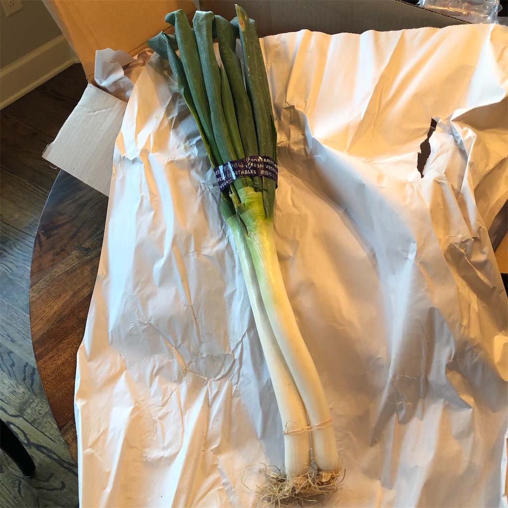 f:id:michelle_US:20211106072421j:image