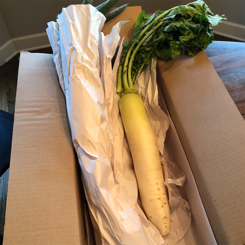 f:id:michelle_US:20211106072427j:image