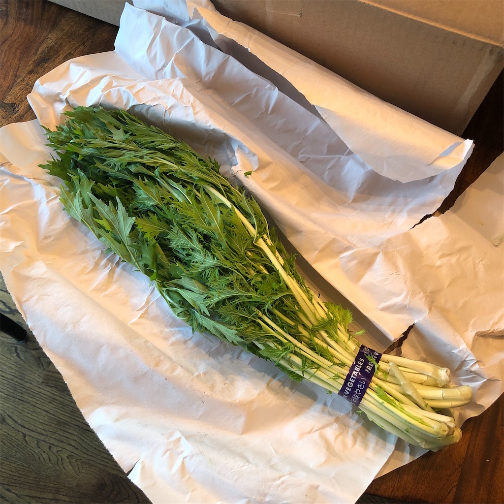 f:id:michelle_US:20211106072430j:image