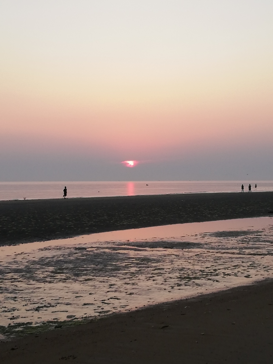 f:id:michelleying:20191001055802j:plain f:id:michelleying:20191001055802j:plain