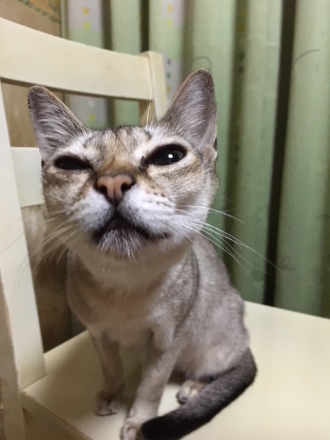 f:id:michelpoyo:20180501233531j:plain
