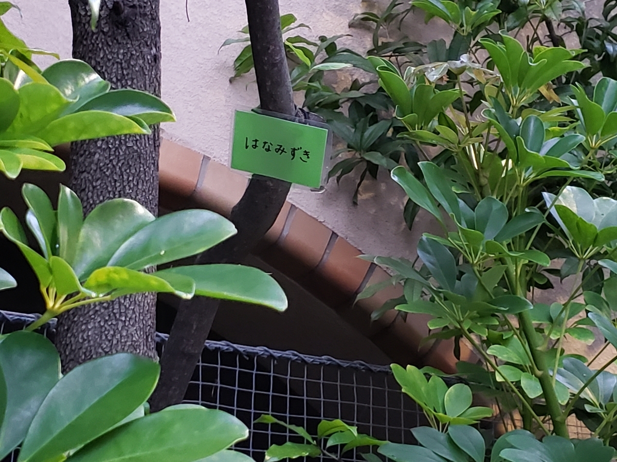 f:id:michi-blog:20200503114734j:plain