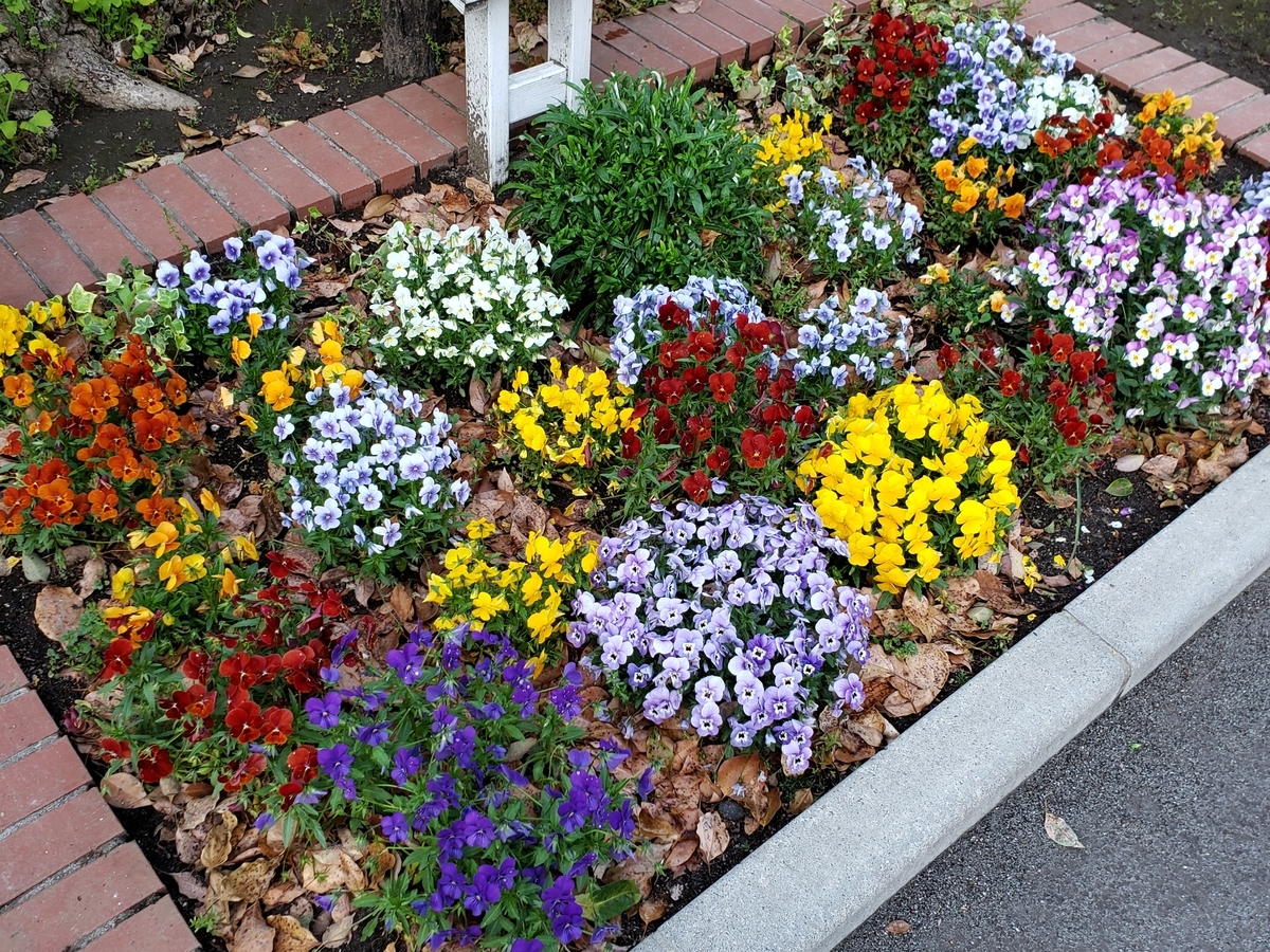 f:id:michi-blog:20200503115043j:plain