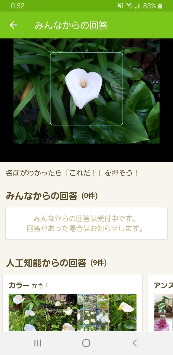 f:id:michi-blog:20200503120413j:plain