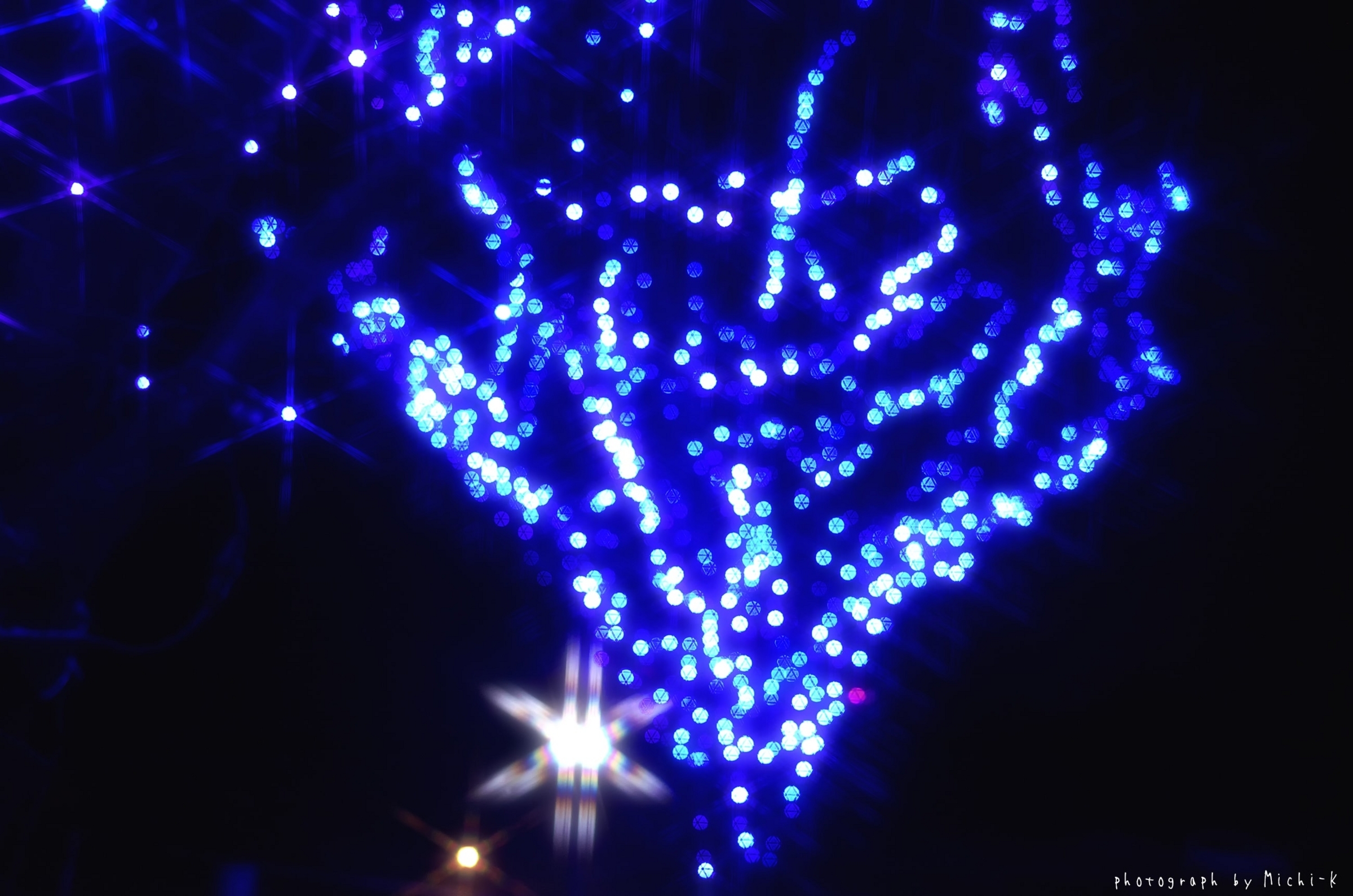 東北公益文科大学イルミネーション-3