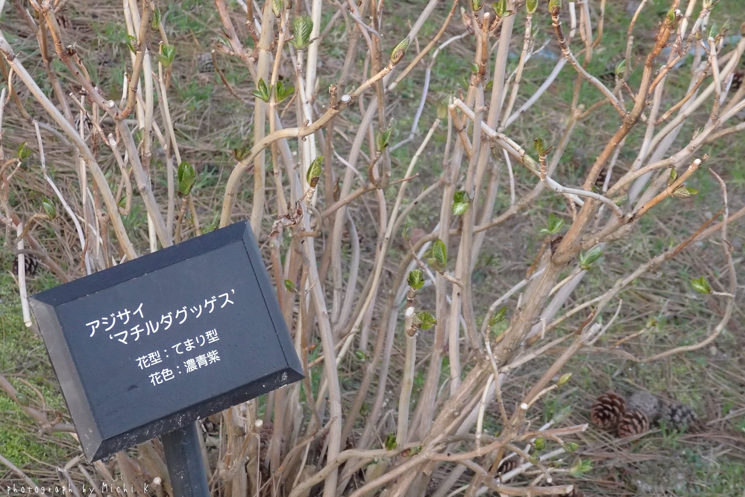 土門拳記念館 2018/3/31 早朝散歩（その7）