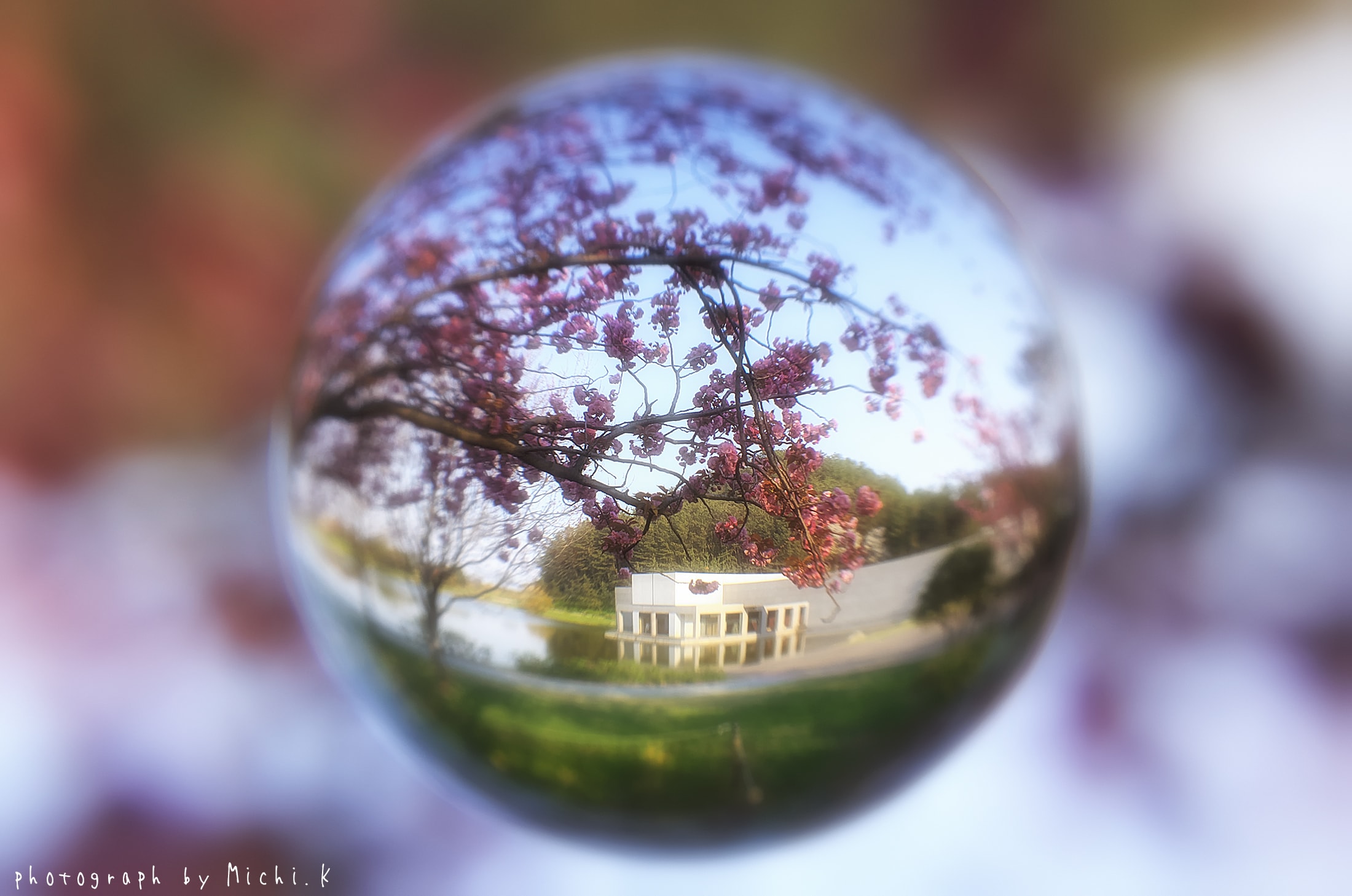 土門拳記念館2018-4-28、宙玉(そらたま)撮影-その1