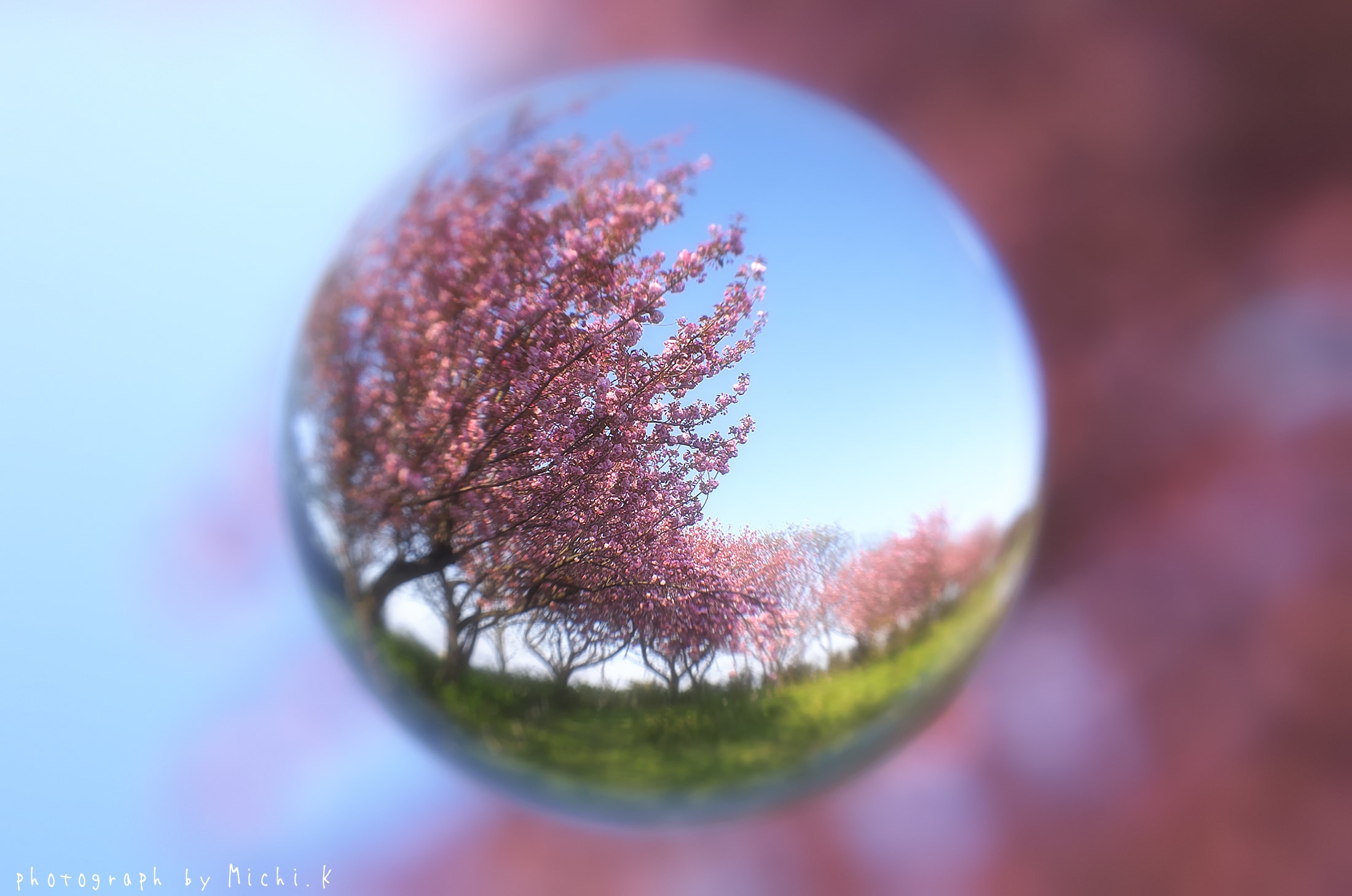 土門拳記念館2018-4-28、宙玉(そらたま)撮影-その2