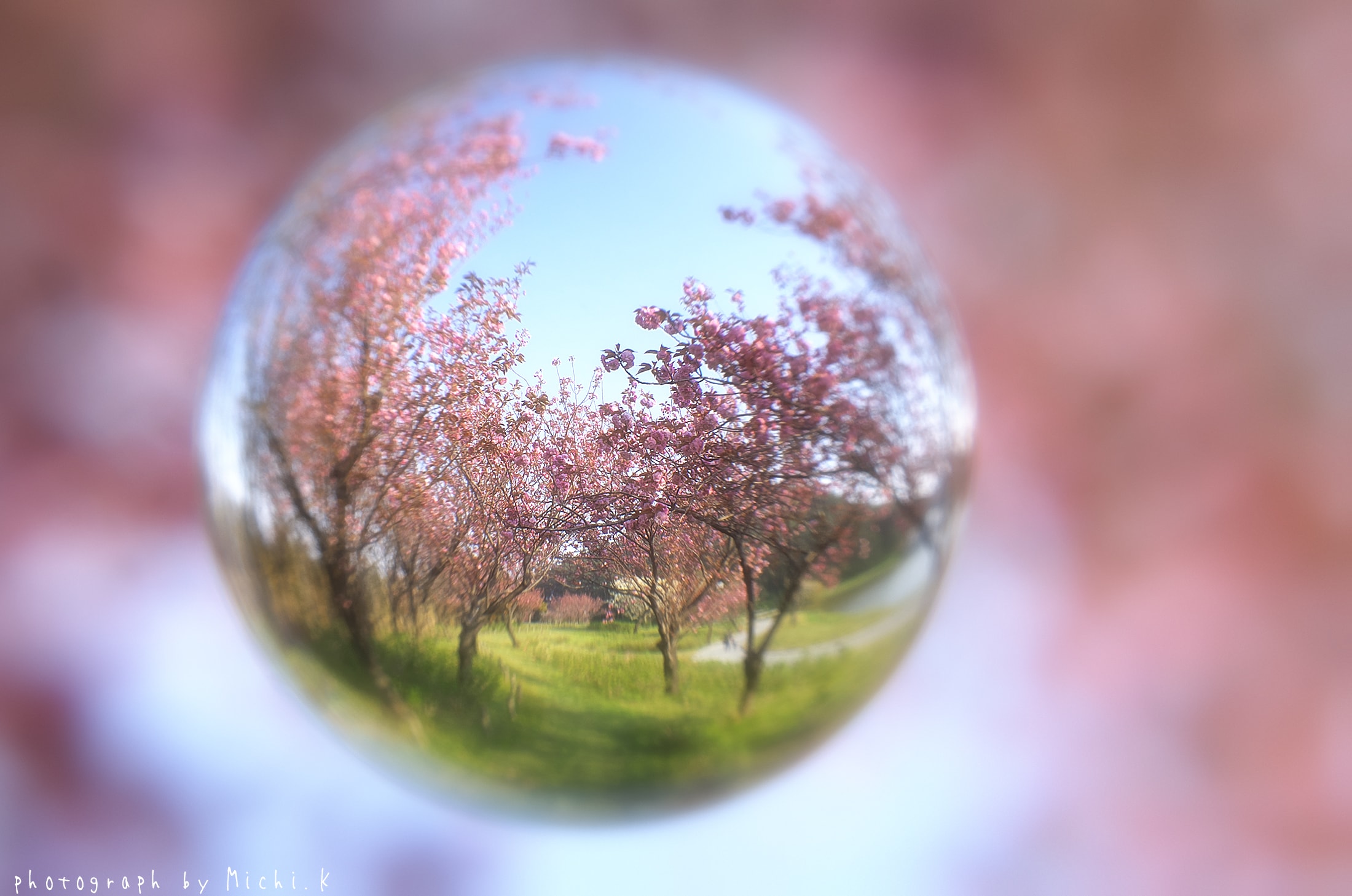 f:id:michi-k:20180429050608j:plain 土門拳記念館2018-4-28、宙玉(そらたま)撮影-その3