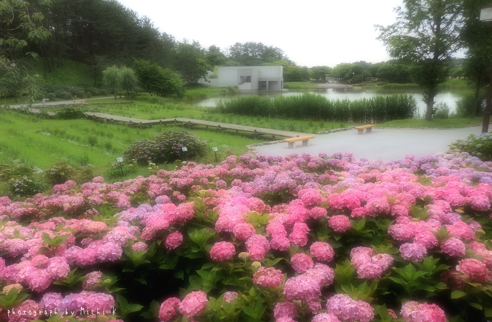 土門拳記念館2018-7-11の写真その2