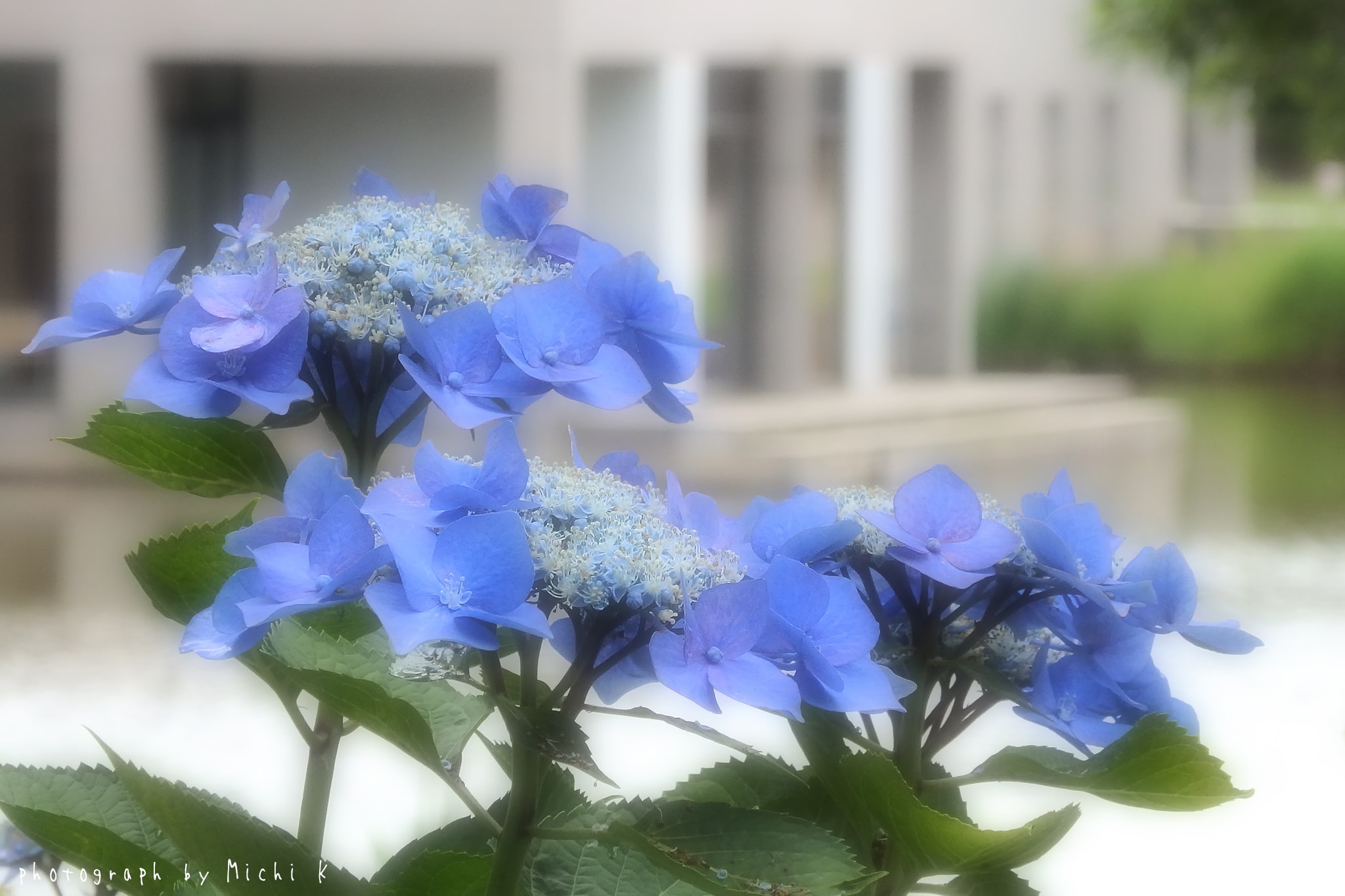 土門拳記念館2018-7-11の写真その3