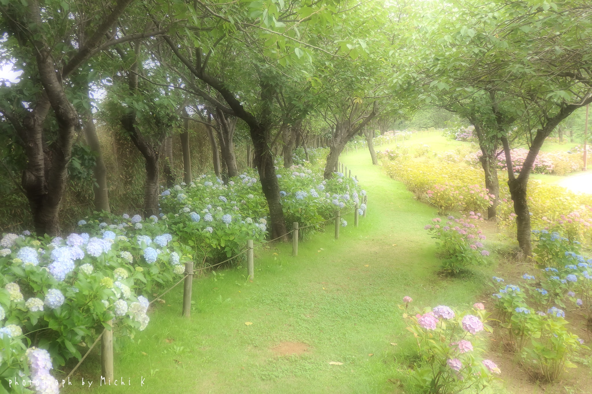 土門拳記念館2018-7-11の写真その4
