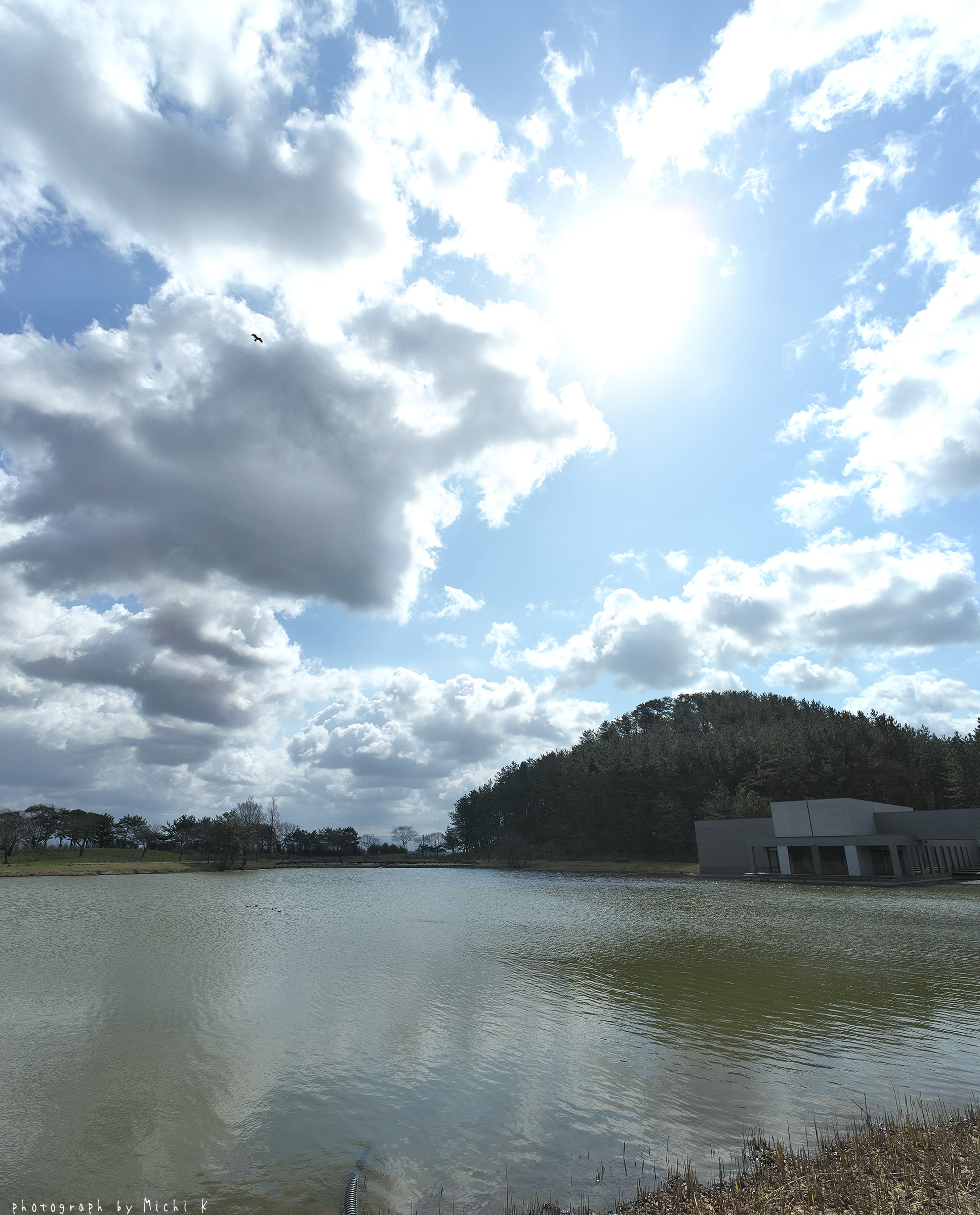 土門拳記念館にて2019-4-6（写真その1）
