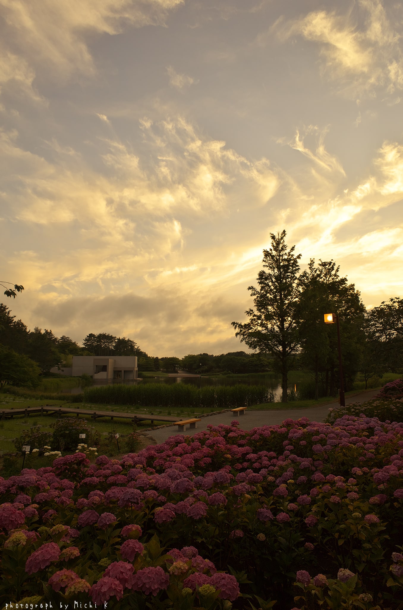 f:id:michi-k:20190704082716j:plain