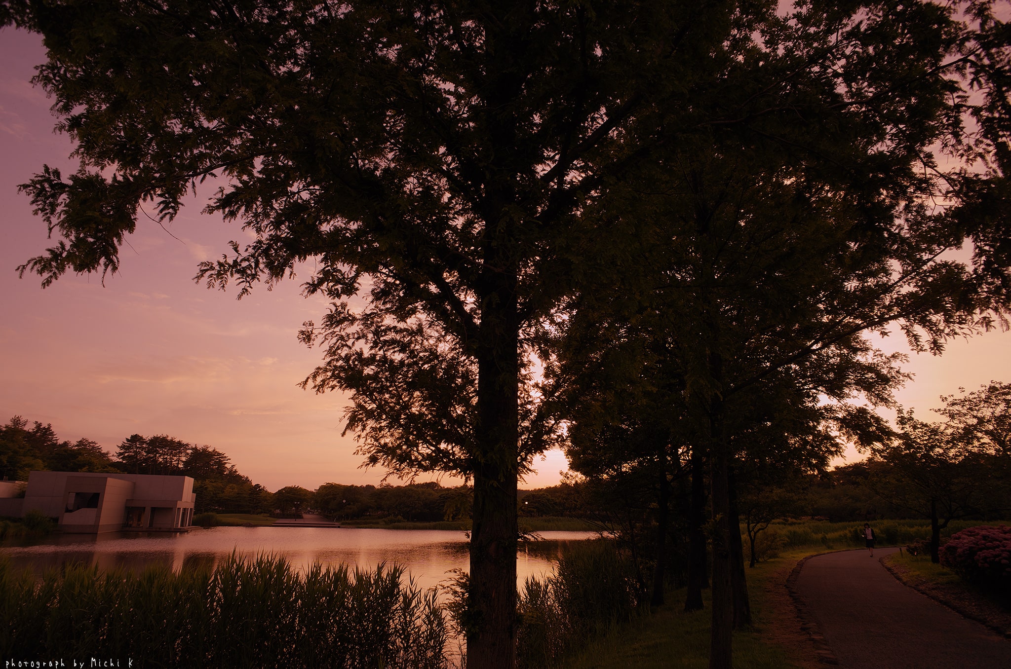 f:id:michi-k:20190709223224j:plain