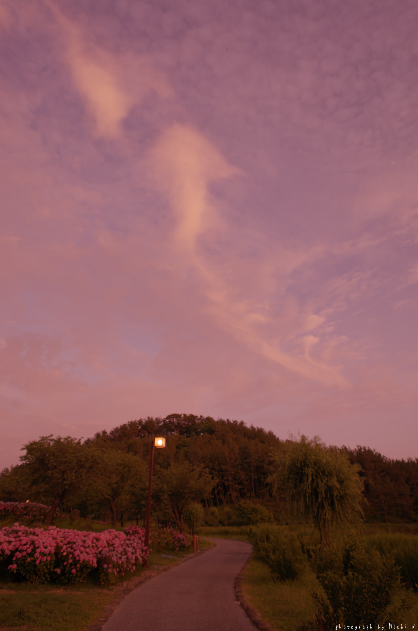 f:id:michi-k:20190709223240j:plain