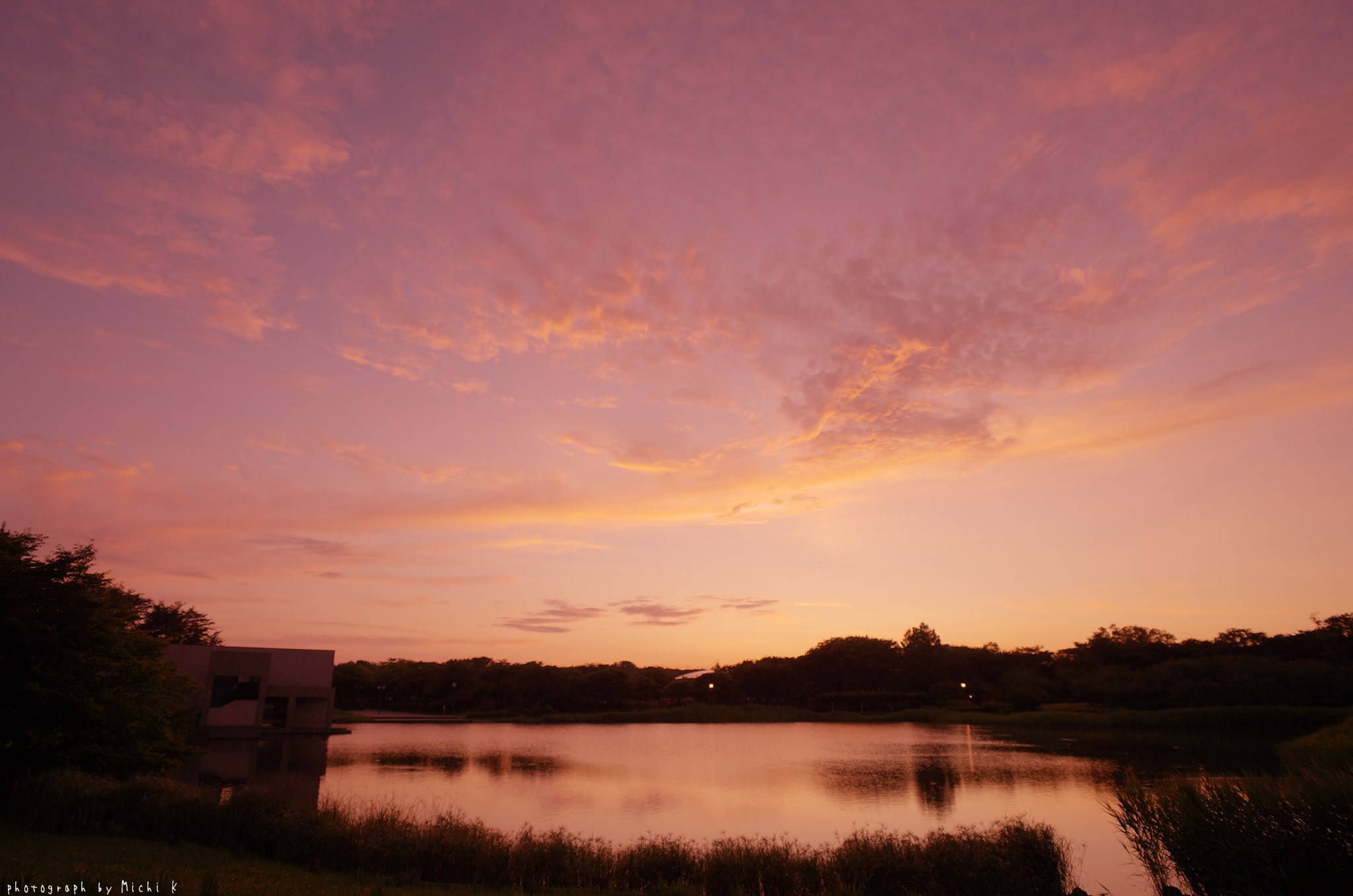 f:id:michi-k:20190709223407j:plain