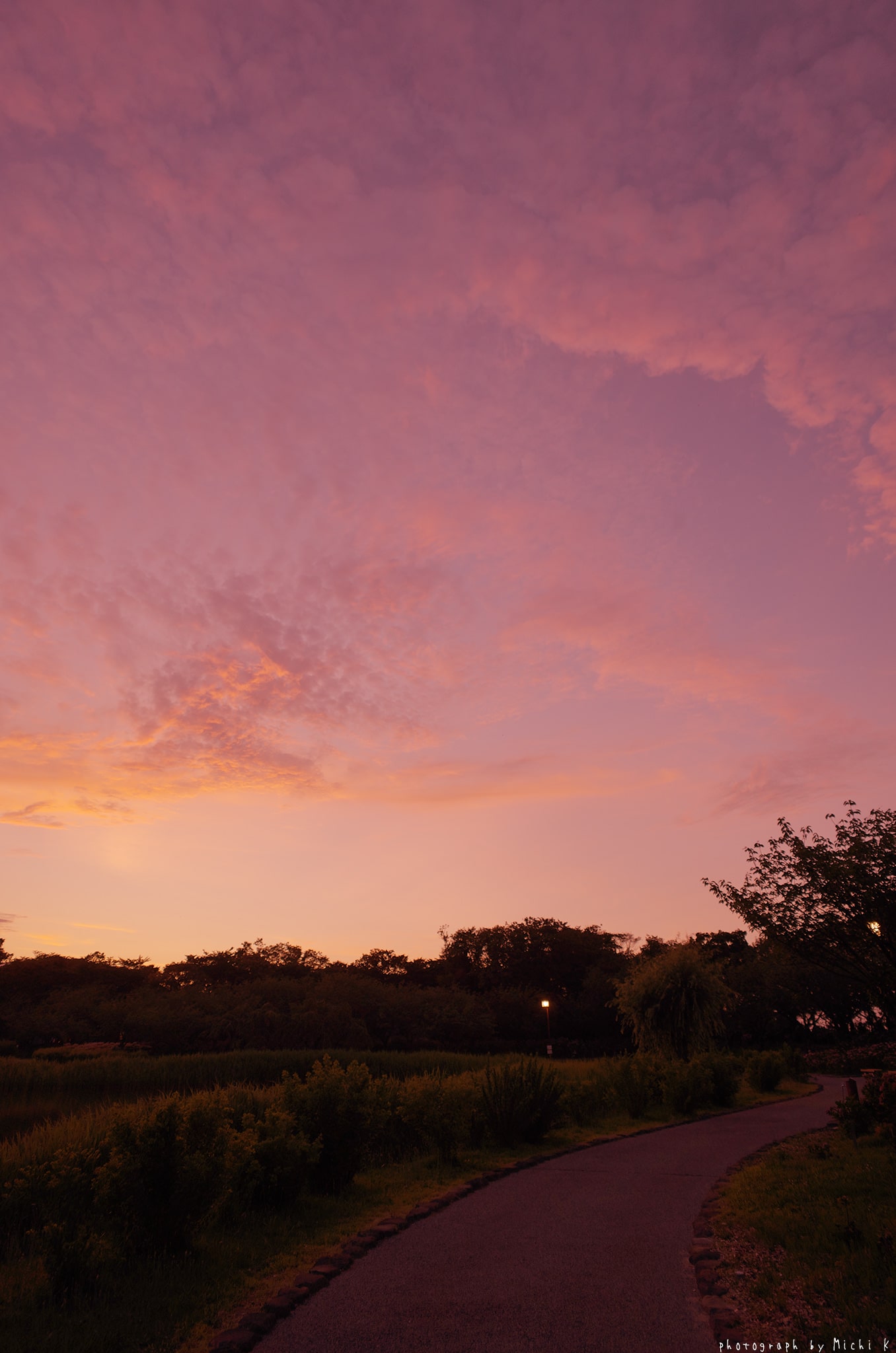 f:id:michi-k:20190709223444j:plain