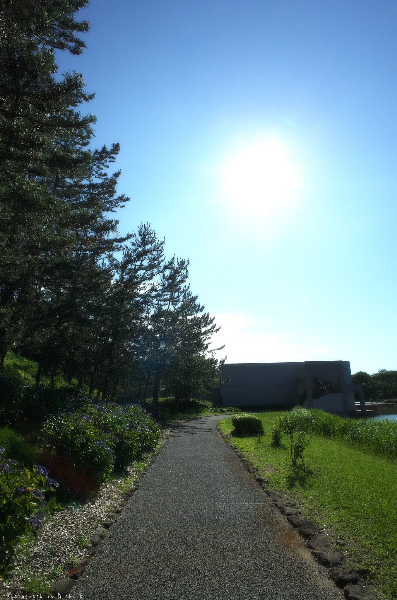 f:id:michi-k:20190715174102j:plain