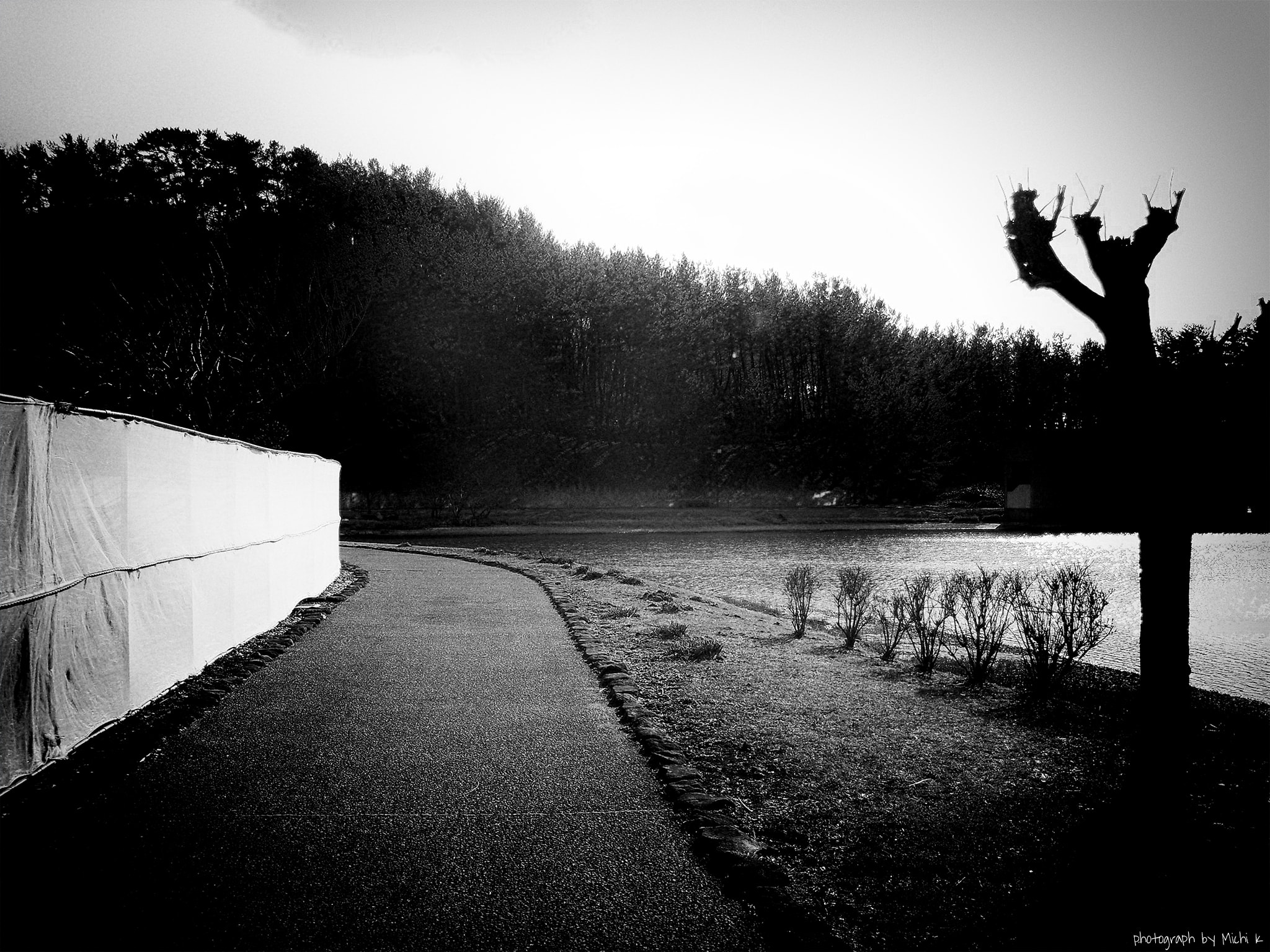 f:id:michi-k:20200202230230j:plain