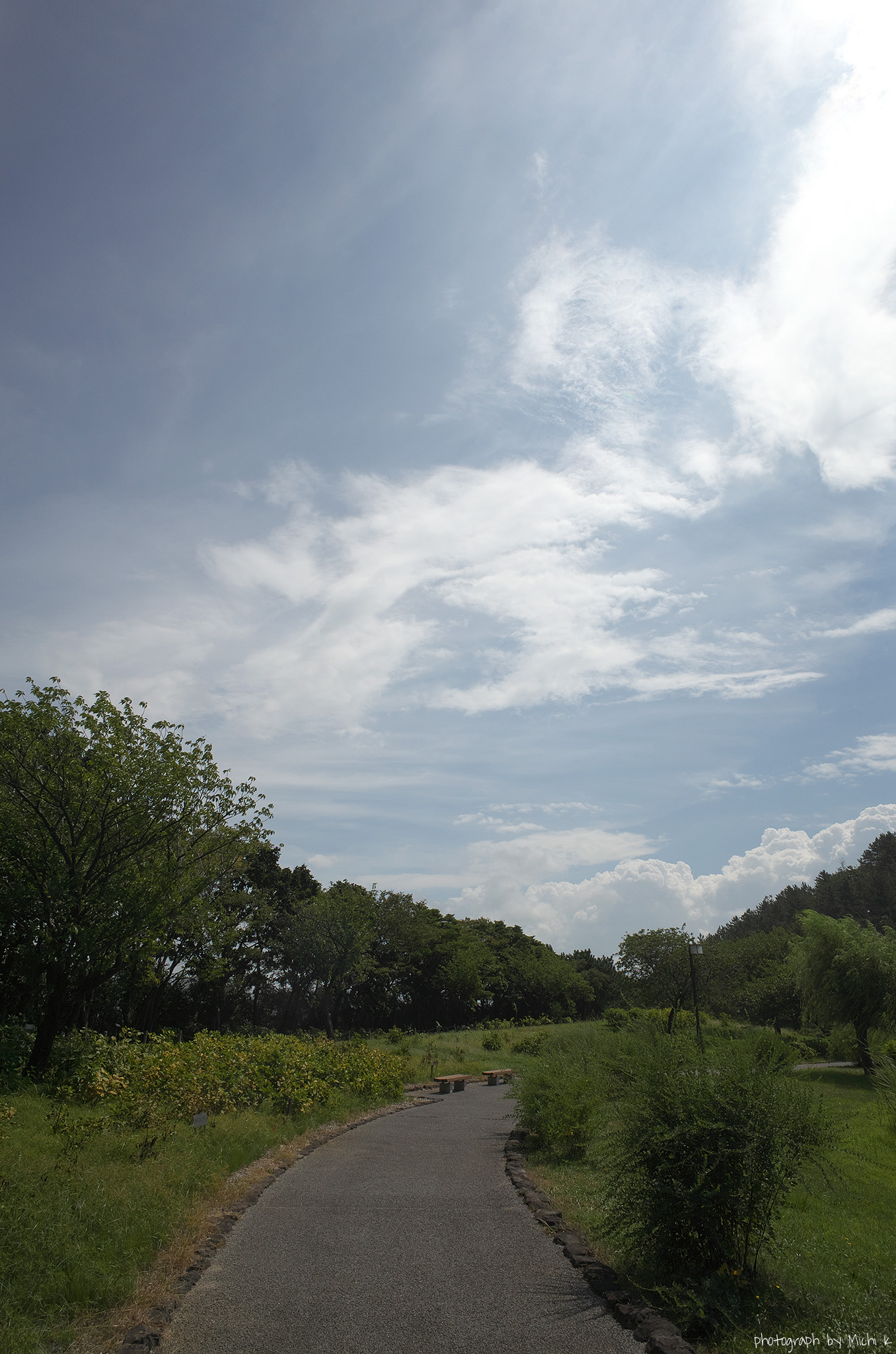 f:id:michi-k:20200901081447j:plain