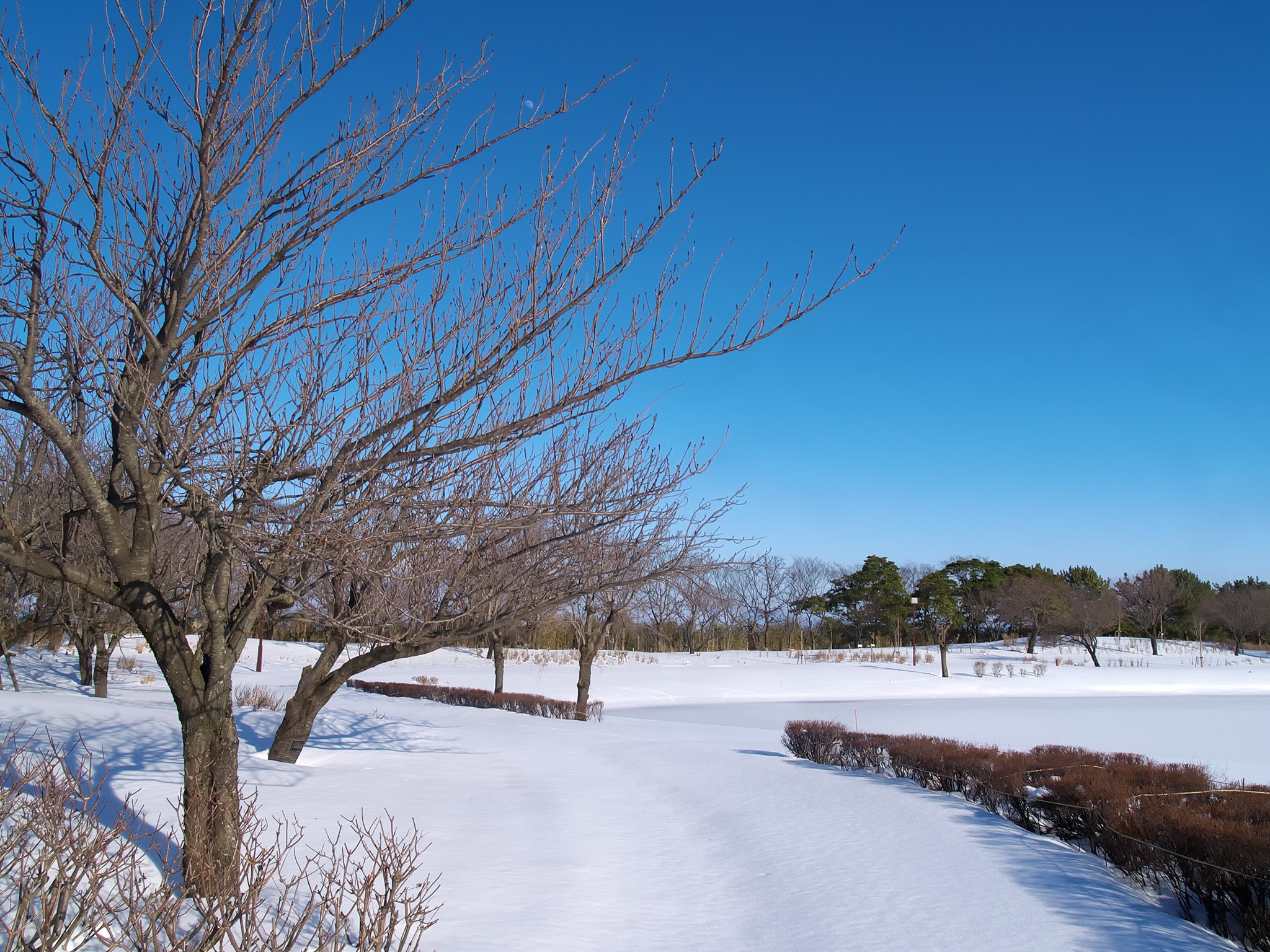 f:id:michi-k:20220211204729j:plain