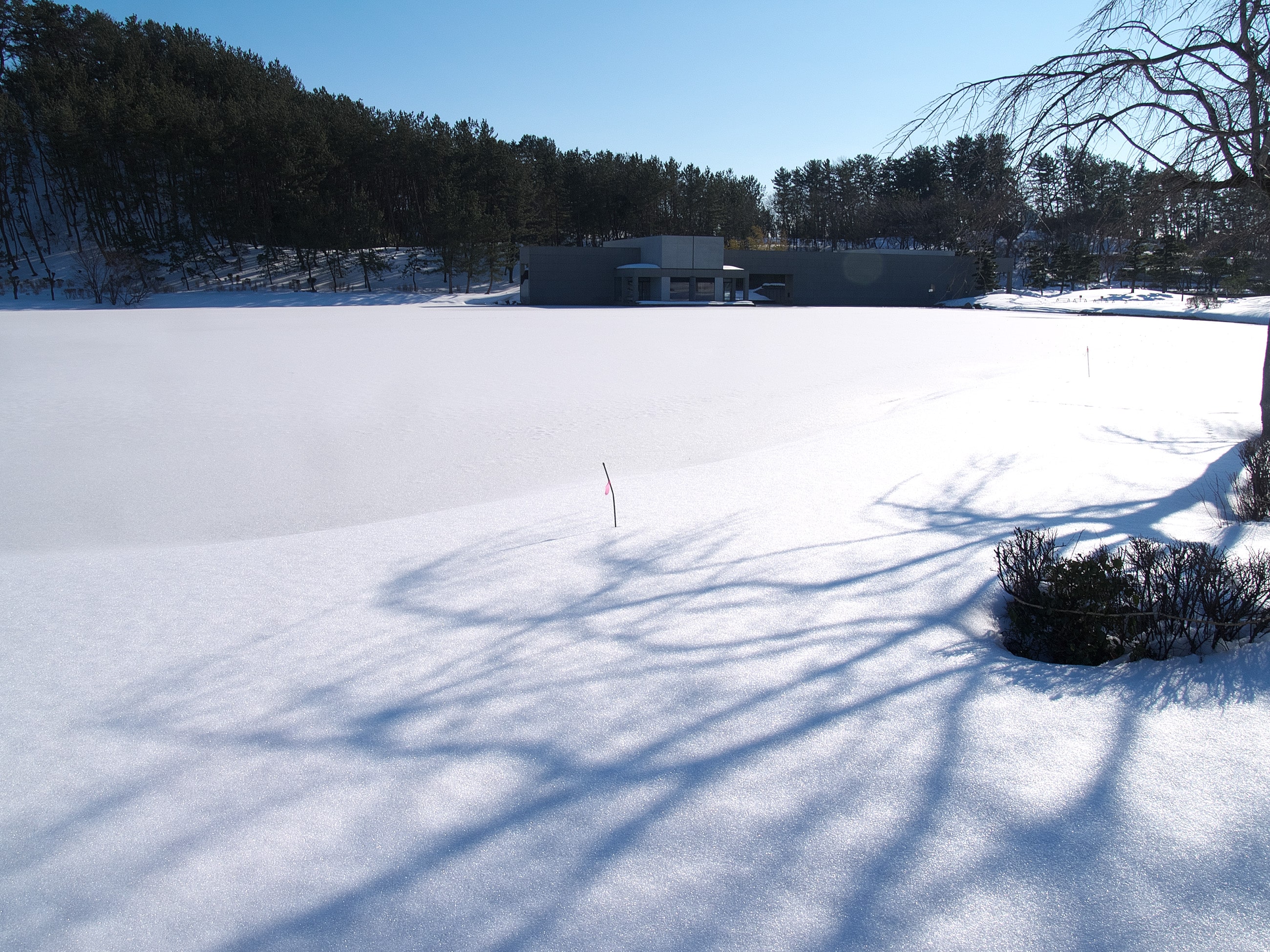 f:id:michi-k:20220211204747j:plain