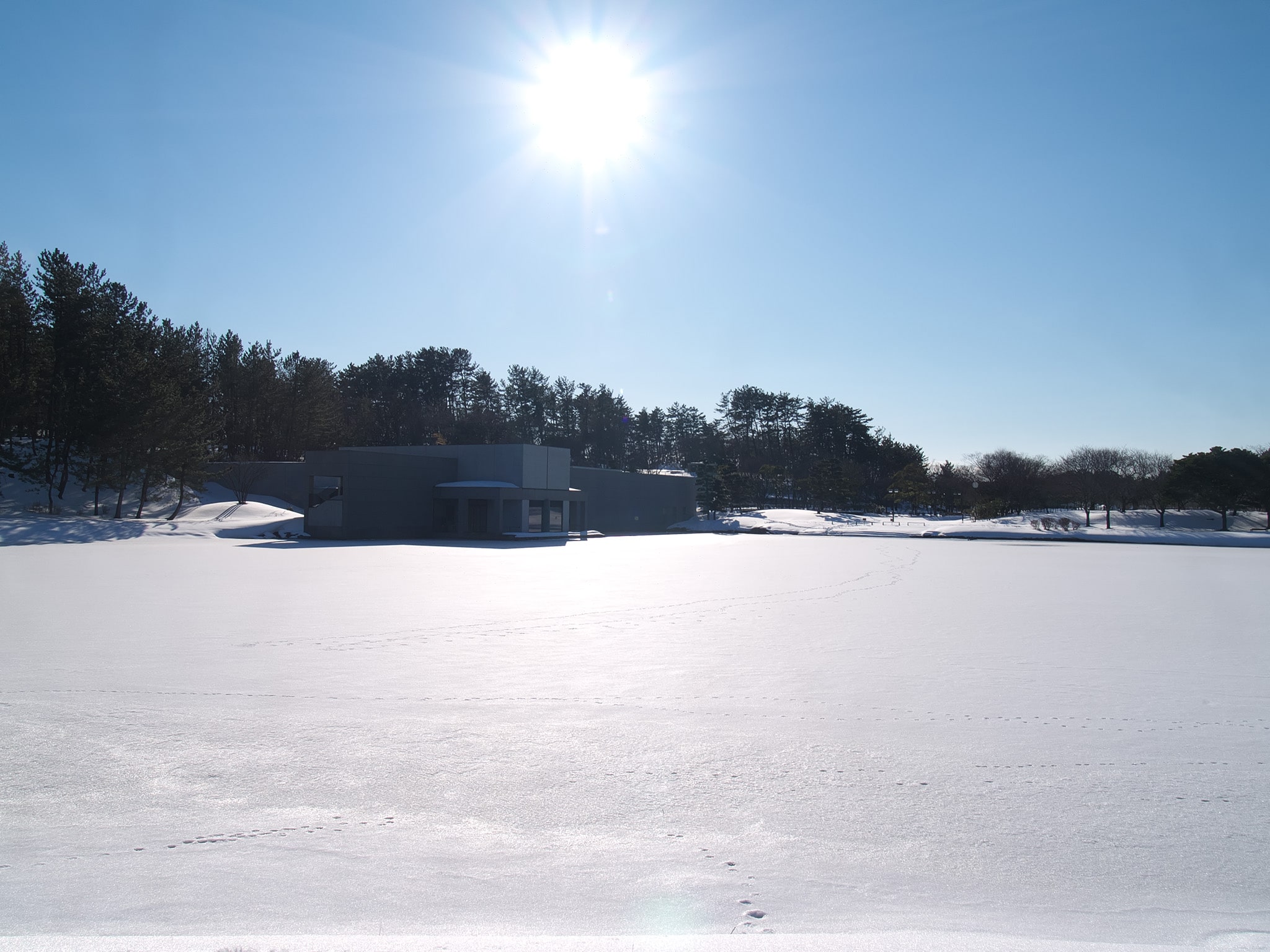 f:id:michi-k:20220211204823j:plain