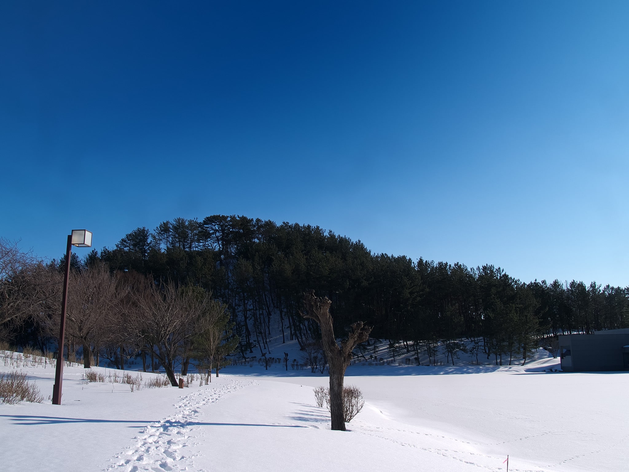 f:id:michi-k:20220211204838j:plain