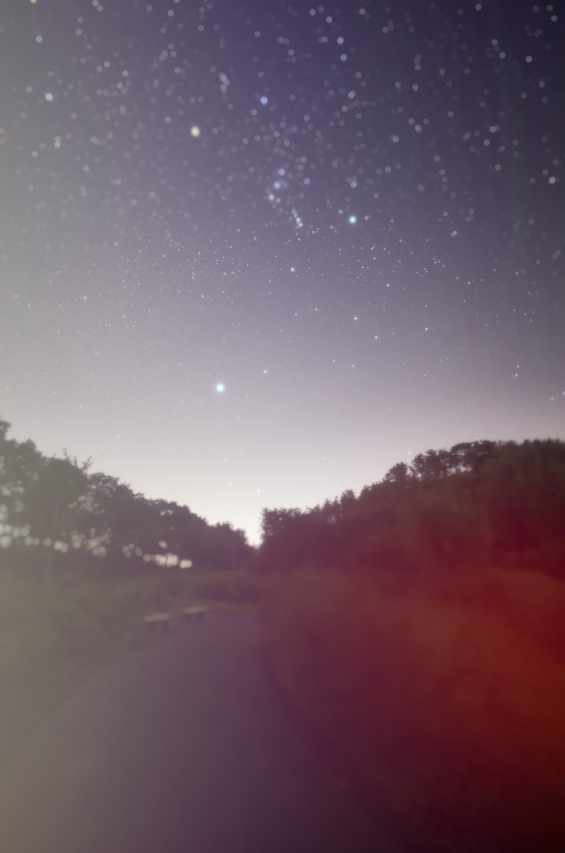 オリオン座 土門拳記念館にて 22 10 1 Return To Orion