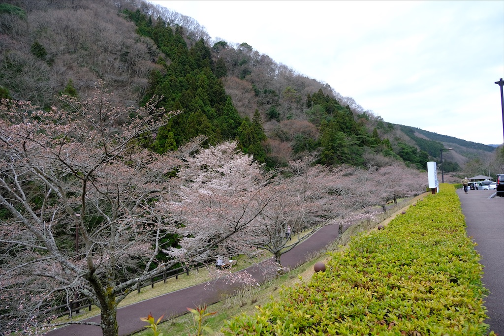 f:id:michi-trail:20210320183203j:image f:id:michi-trail:20210320183203j:image