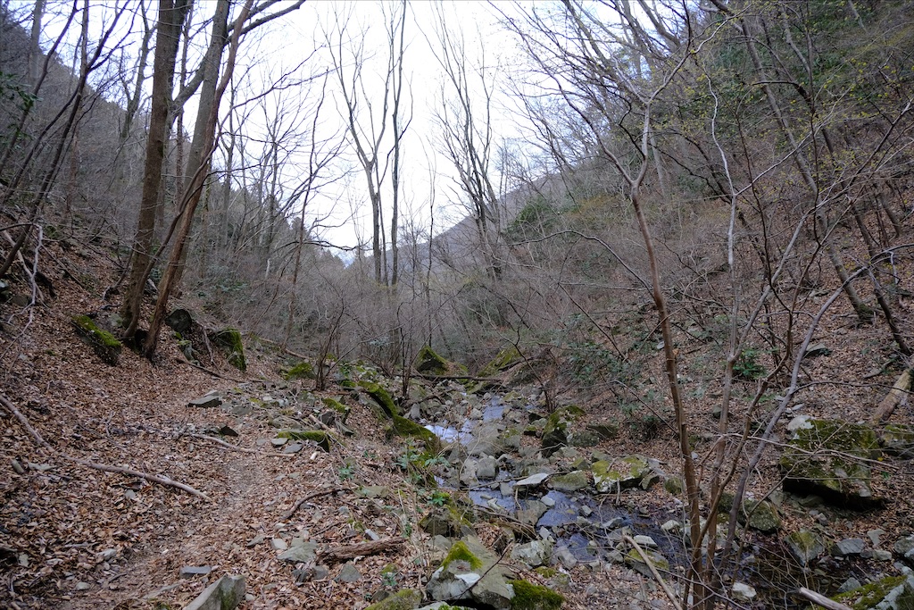 f:id:michi-trail:20210320183210j:image f:id:michi-trail:20210320183210j:image