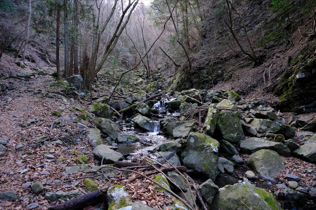 f:id:michi-trail:20210320183240j:image f:id:michi-trail:20210320183240j:image