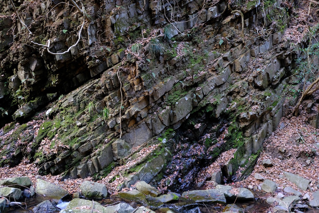f:id:michi-trail:20210320183330j:image f:id:michi-trail:20210320183330j:image