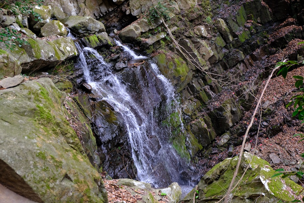 f:id:michi-trail:20210320183343j:image f:id:michi-trail:20210320183343j:image