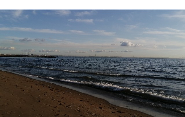 f:id:michiakari:20200129161823j:image f:id:michiakari:20200129161823j:image