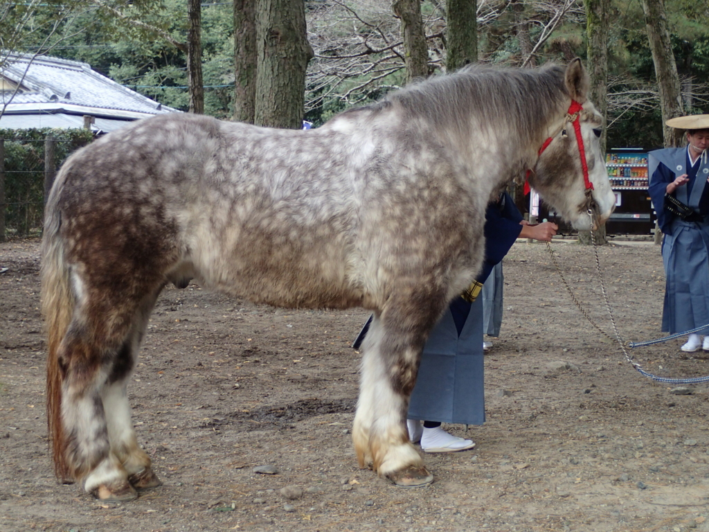 f:id:michibatakoubou:20161207212807j:plain