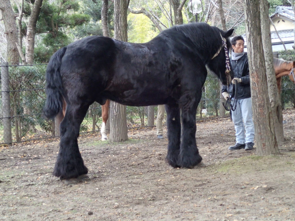 f:id:michibatakoubou:20161207212811j:plain