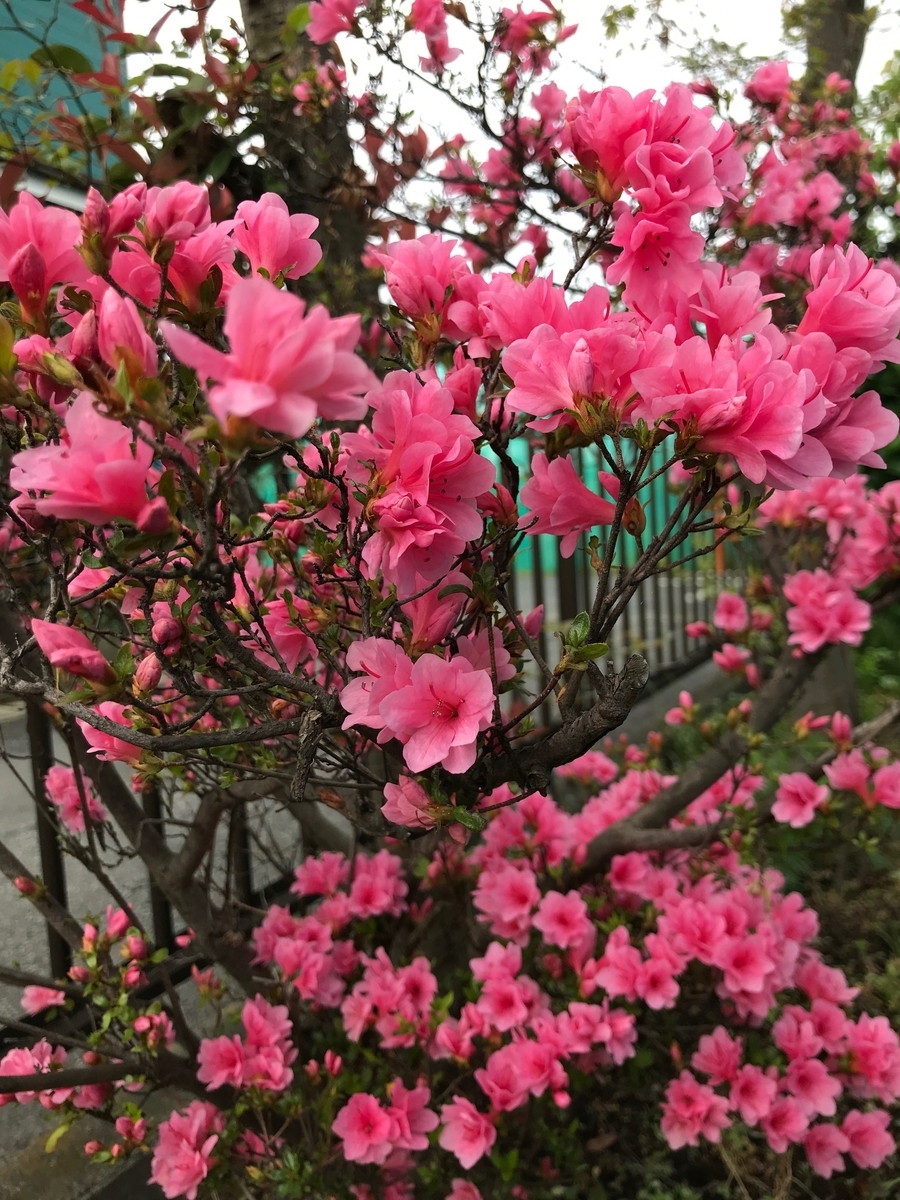 みちべ