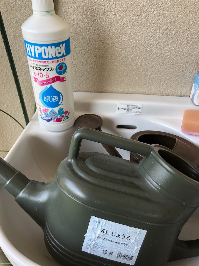 f:id:michihirohiromichi:20190517113334j:image