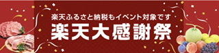 f:id:michihirohiromichi:20201223114405j:plain