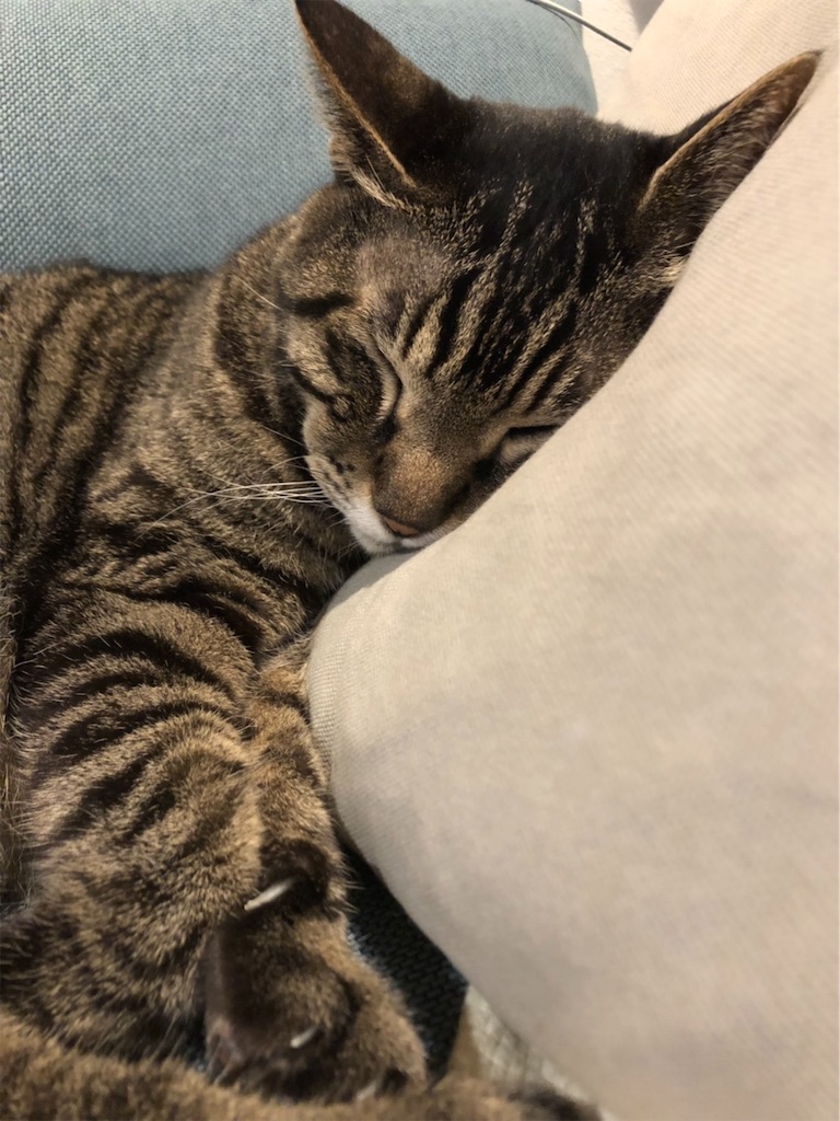 f:id:michika148:20190924101440j:image