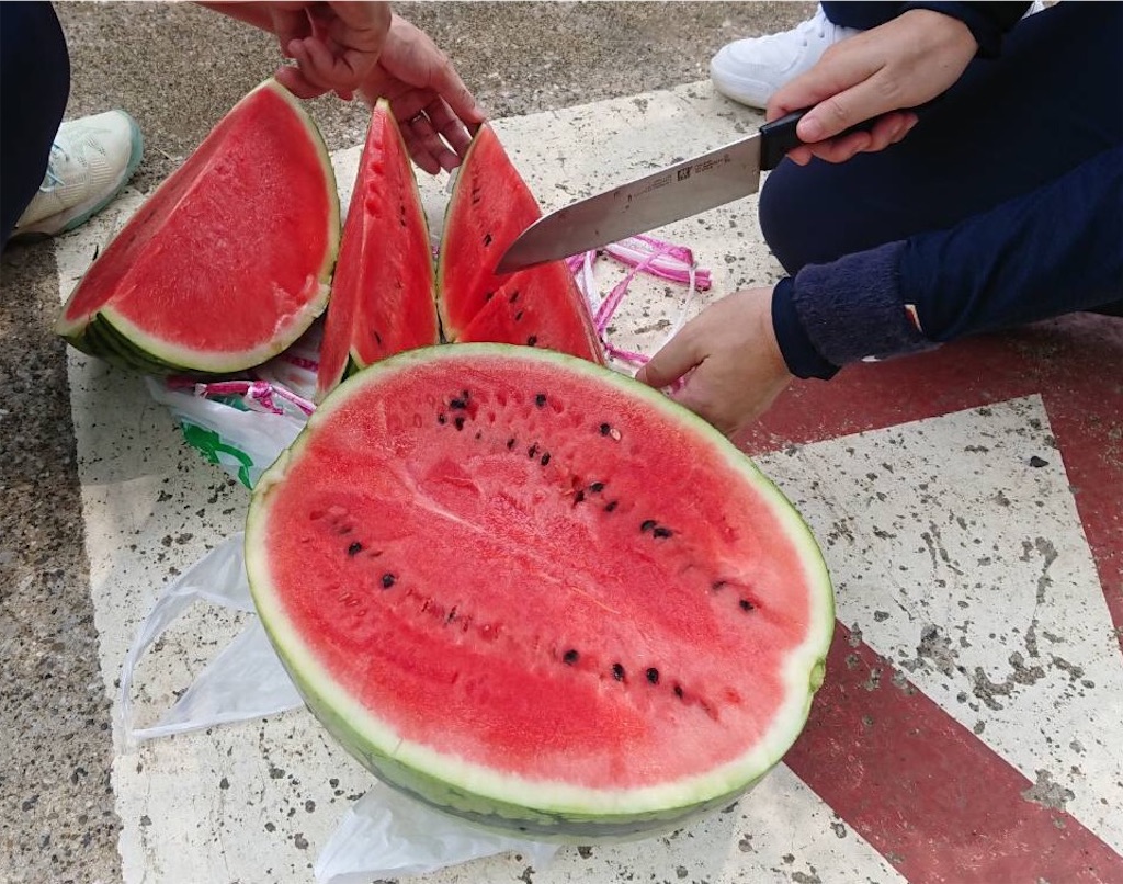 f:id:michiko0309:20180921094816j:image f:id:michiko0309:20180921094816j:image