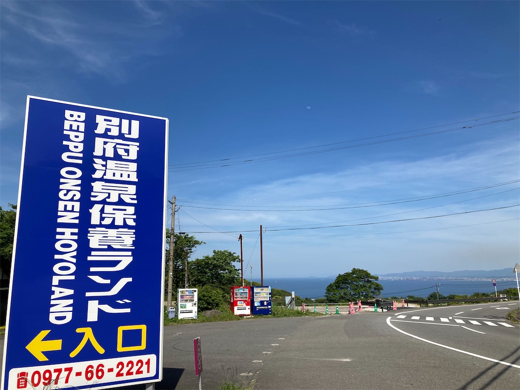 f:id:michiko_0609:20240518225322j:image