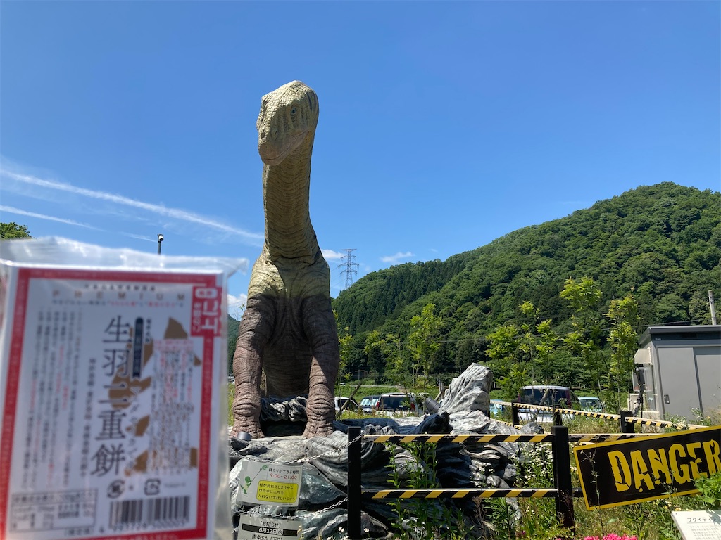 f:id:michiko_0609:20240528212542j:image