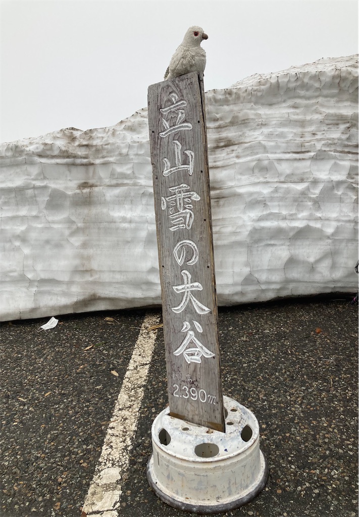 f:id:michiko_0609:20240531201227j:image