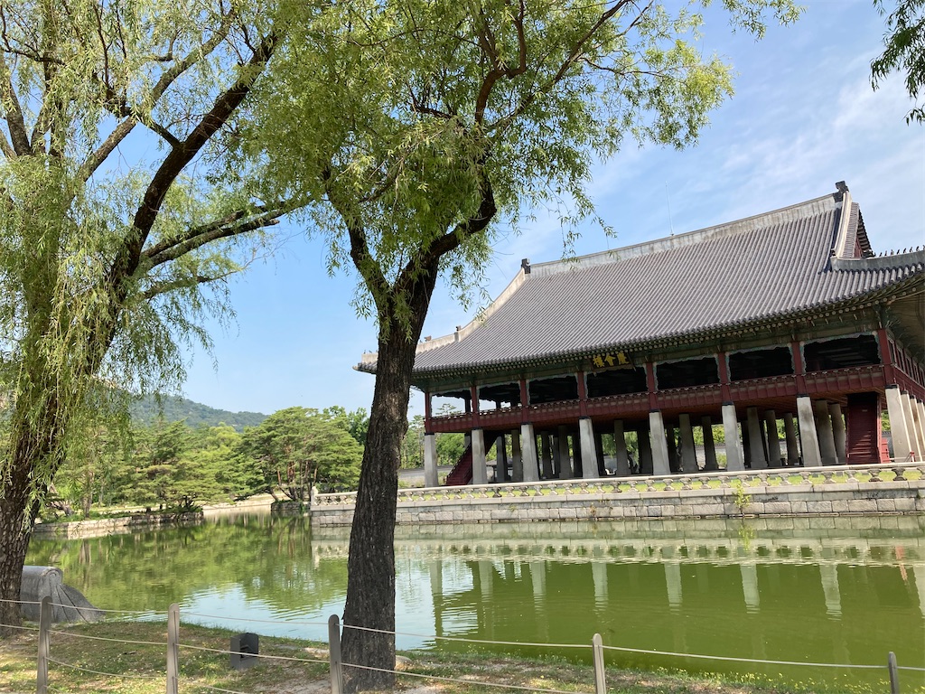 f:id:michiko_0609:20240623073533j:image