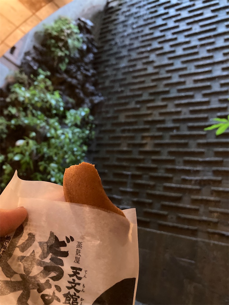 f:id:michiko_0609:20240702145553j:image